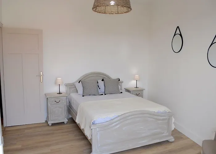 Apartment 2 Pieces Liberte Plein Centre *